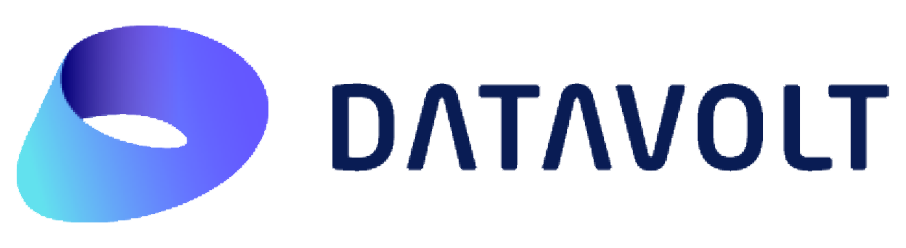 Datavolt logo